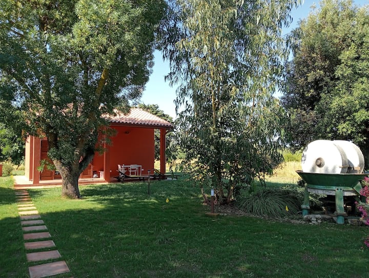 Casa In Campagna "Il Frassino" - Bolgheri