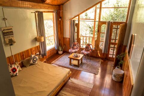 Duplex in Tirthan Valley