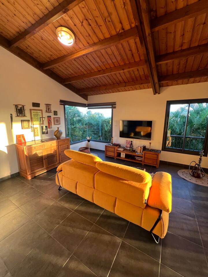 Villa Gecko, Piscine, Jacuzzi, Vue Mer Et Montagne - Réunion