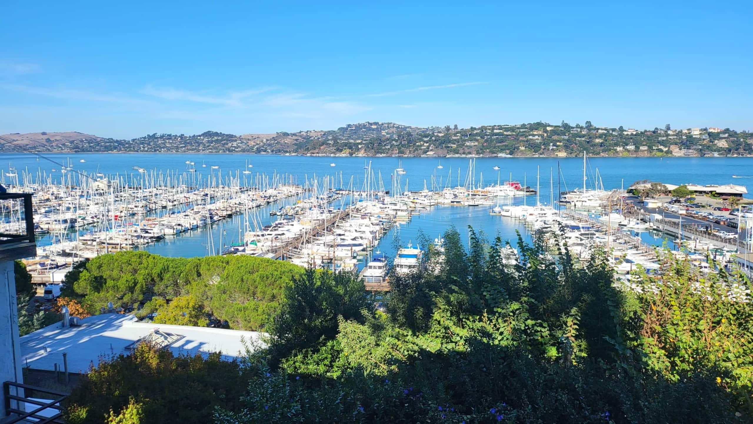 Sausalito Guesthouse Marina & SF Skyline Views - Photo 10