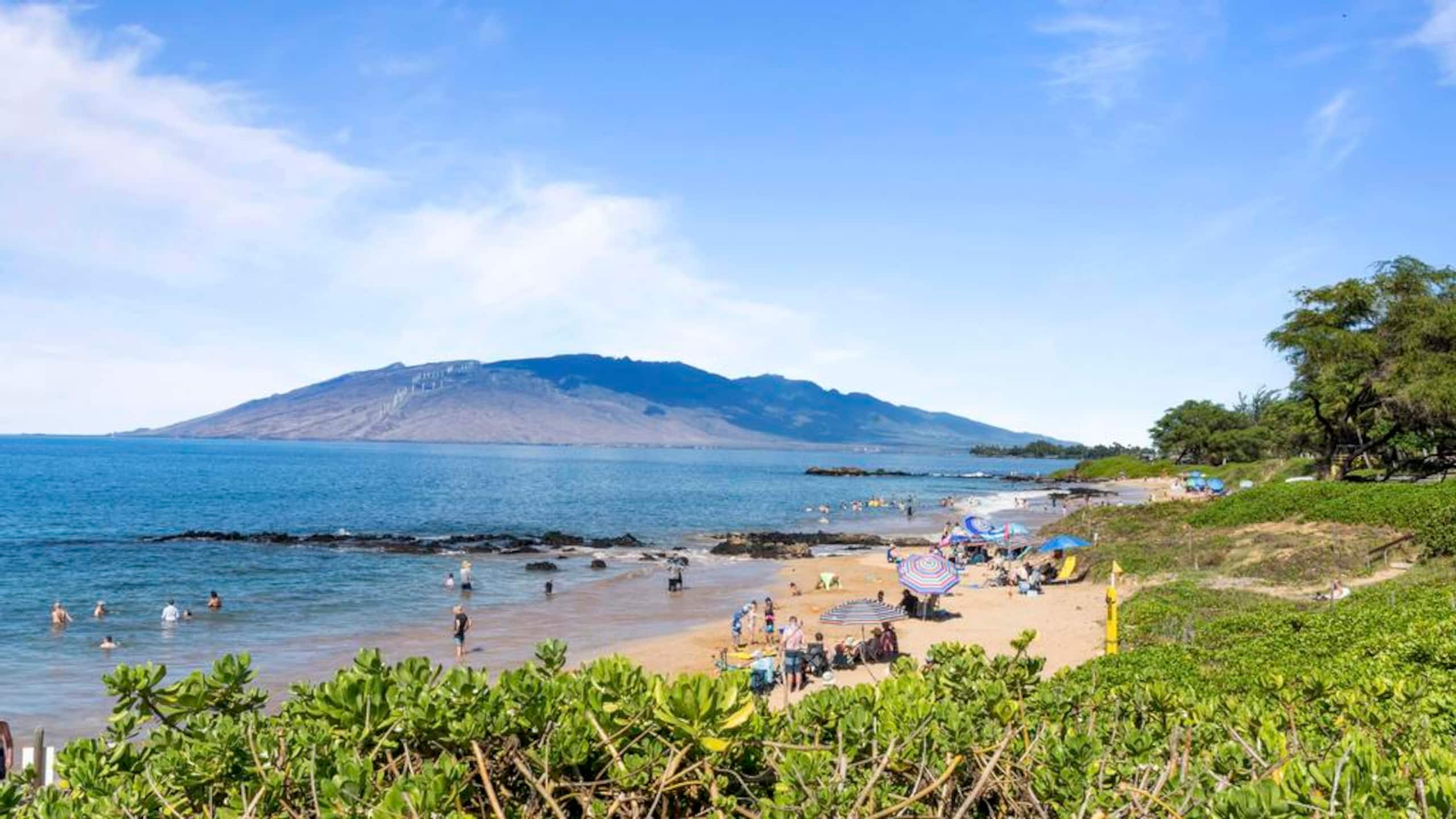 Condo in Kihei · ★4.97 · 2 bedrooms · 3 beds · 2 baths - Image 47