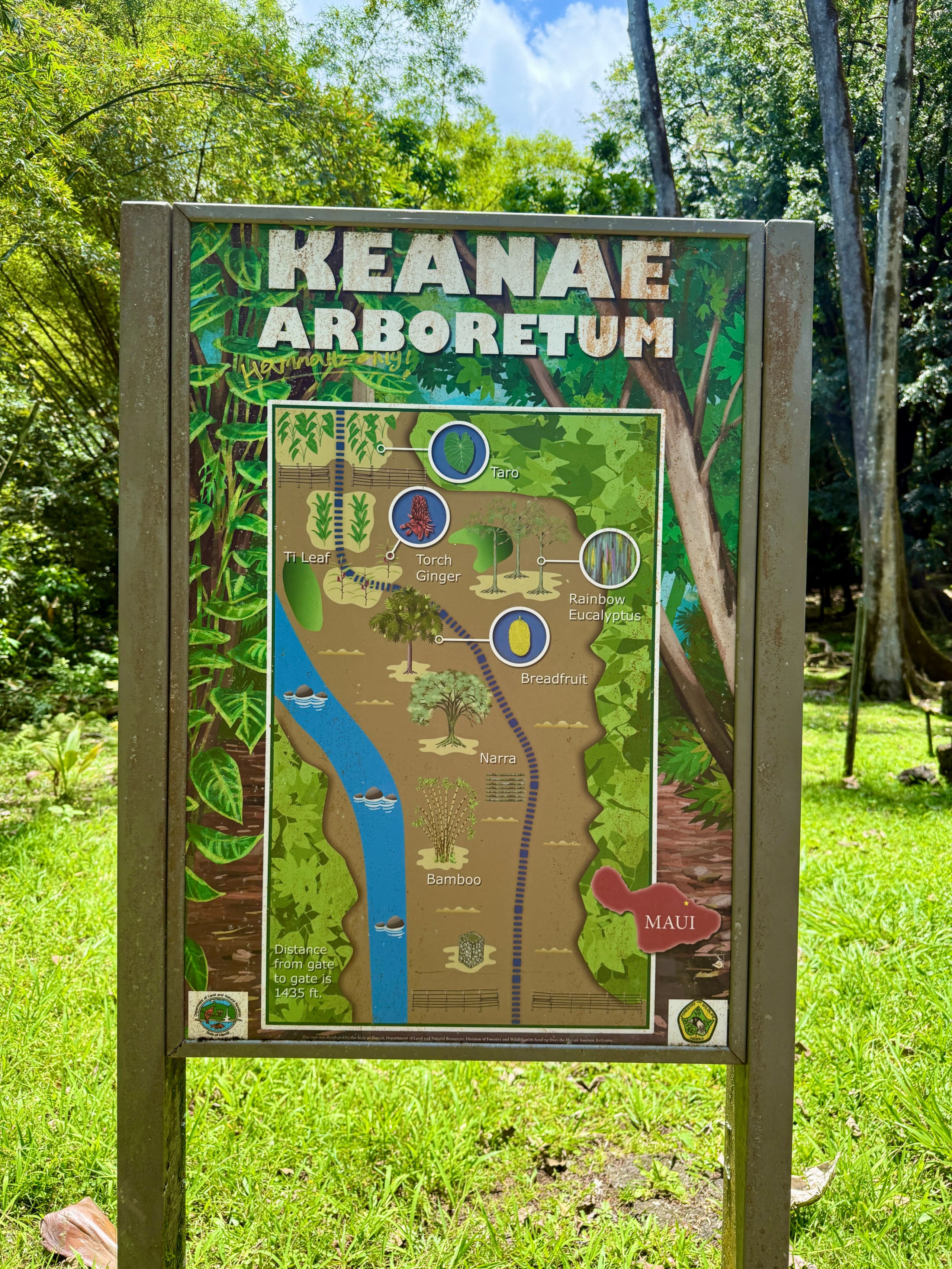 Condo in Kihei · ★4.97 · 2 bedrooms · 3 beds · 2 baths - Image 55