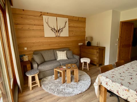 Successful Airbnb property: Renovated flat – Mountain View & Terrace in Samoëns