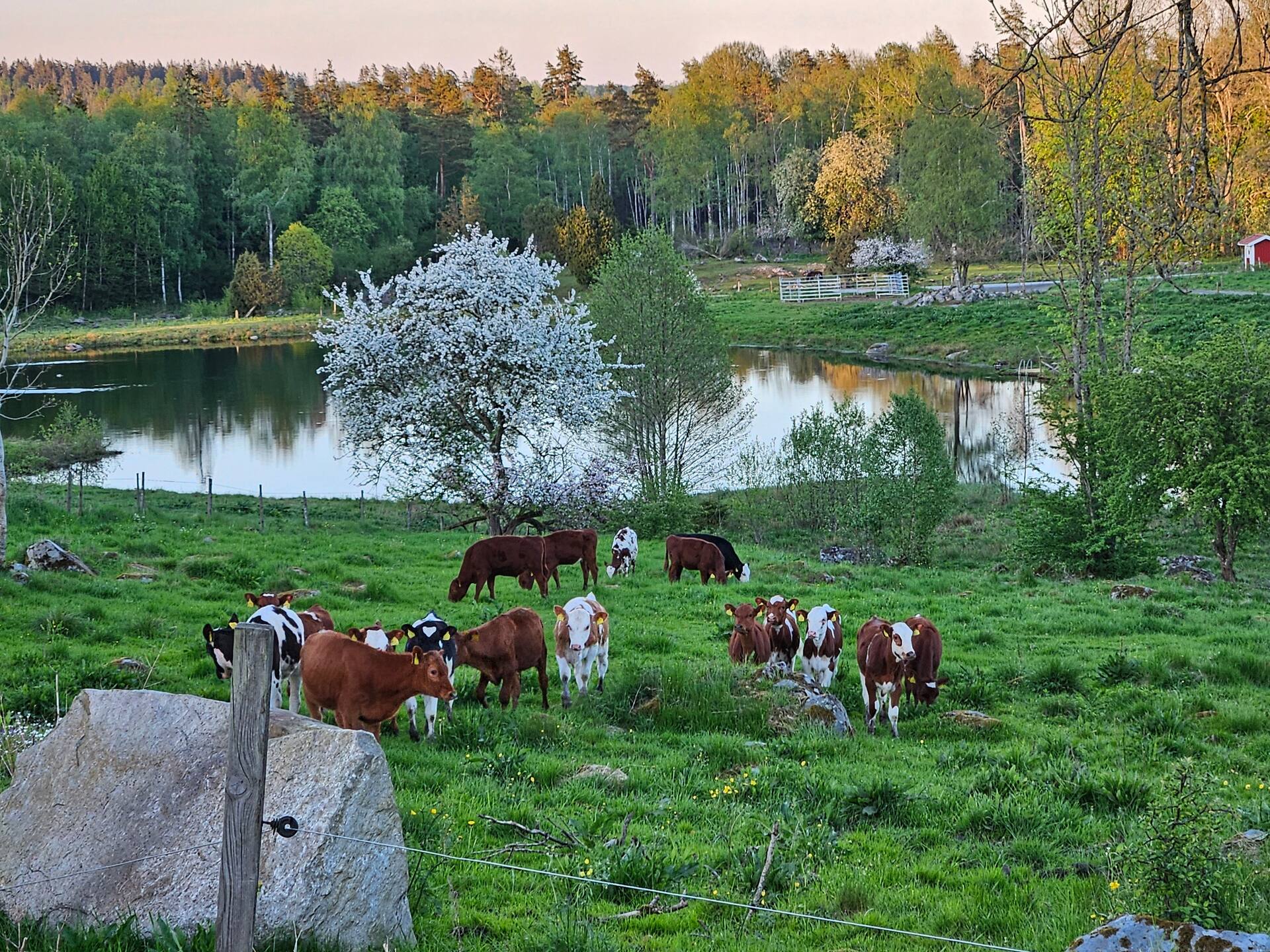 Attefallaren in Hössjö