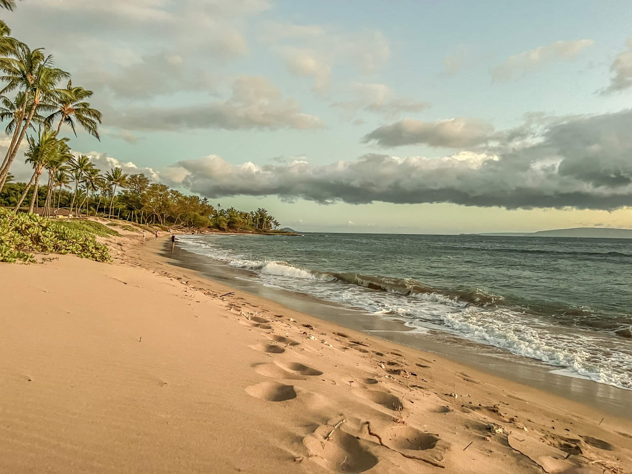 Condo in Kihei · ★4.95 · 1 bedroom · 3 beds · 1 bath - Image 37