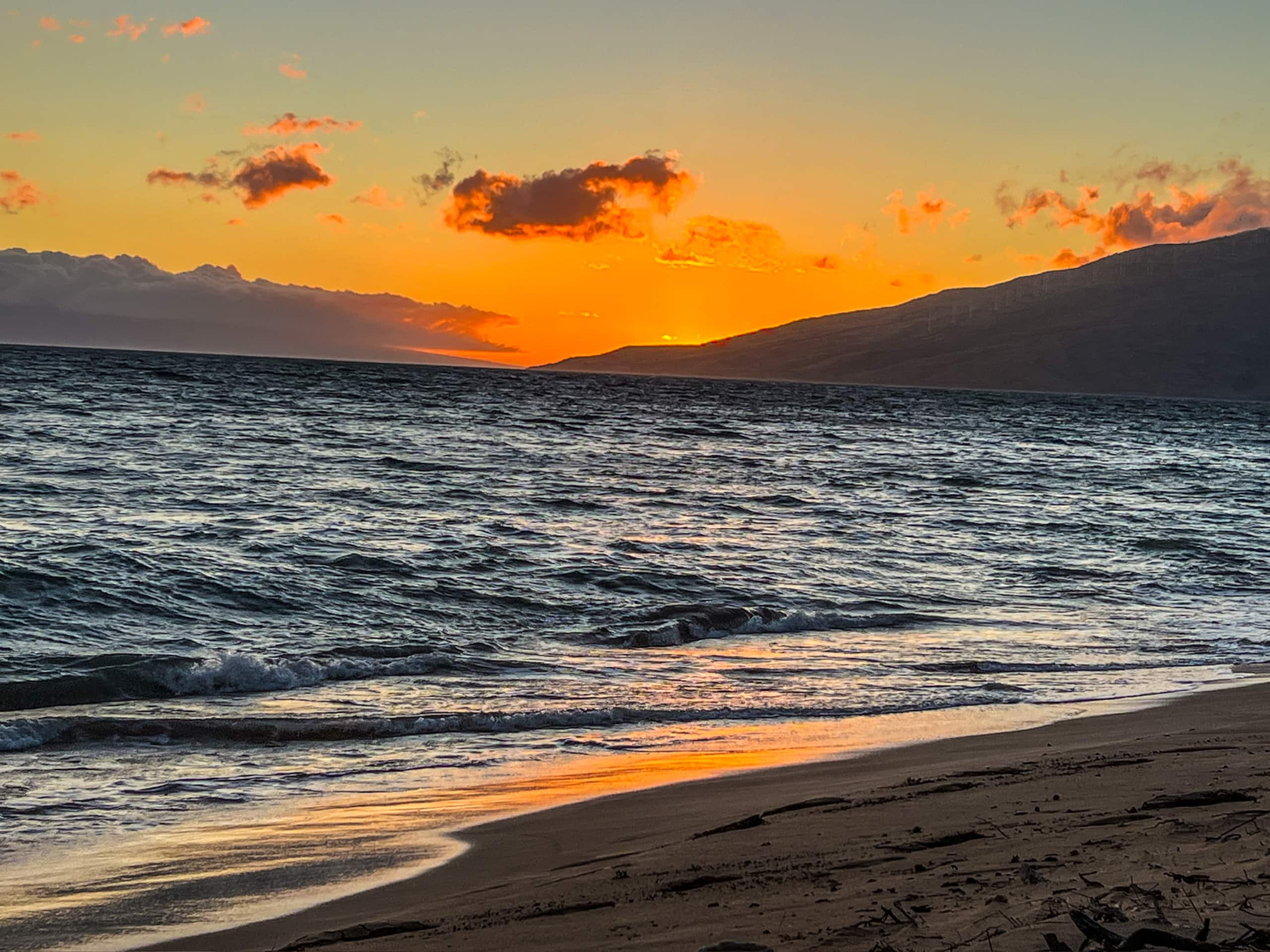 Condo in Kihei · ★4.95 · 1 bedroom · 3 beds · 1 bath - Image 40