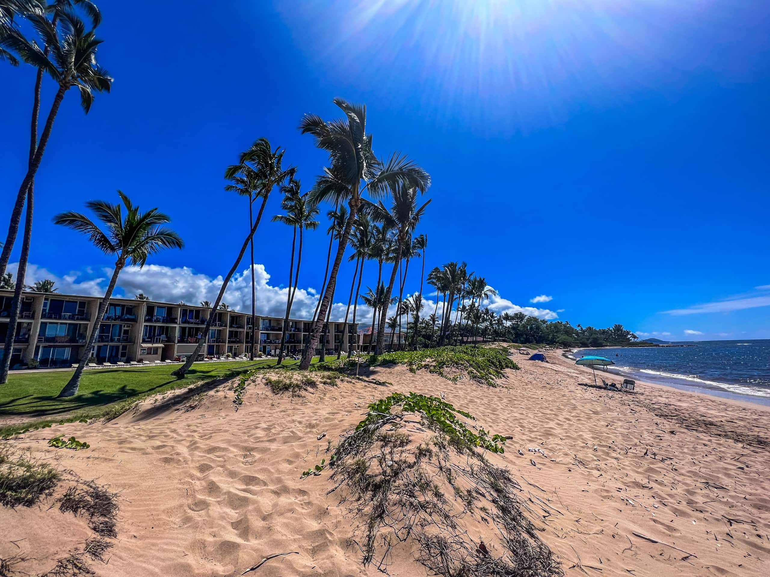 Condo in Kihei · ★4.95 · 1 bedroom · 3 beds · 1 bath - Image 28