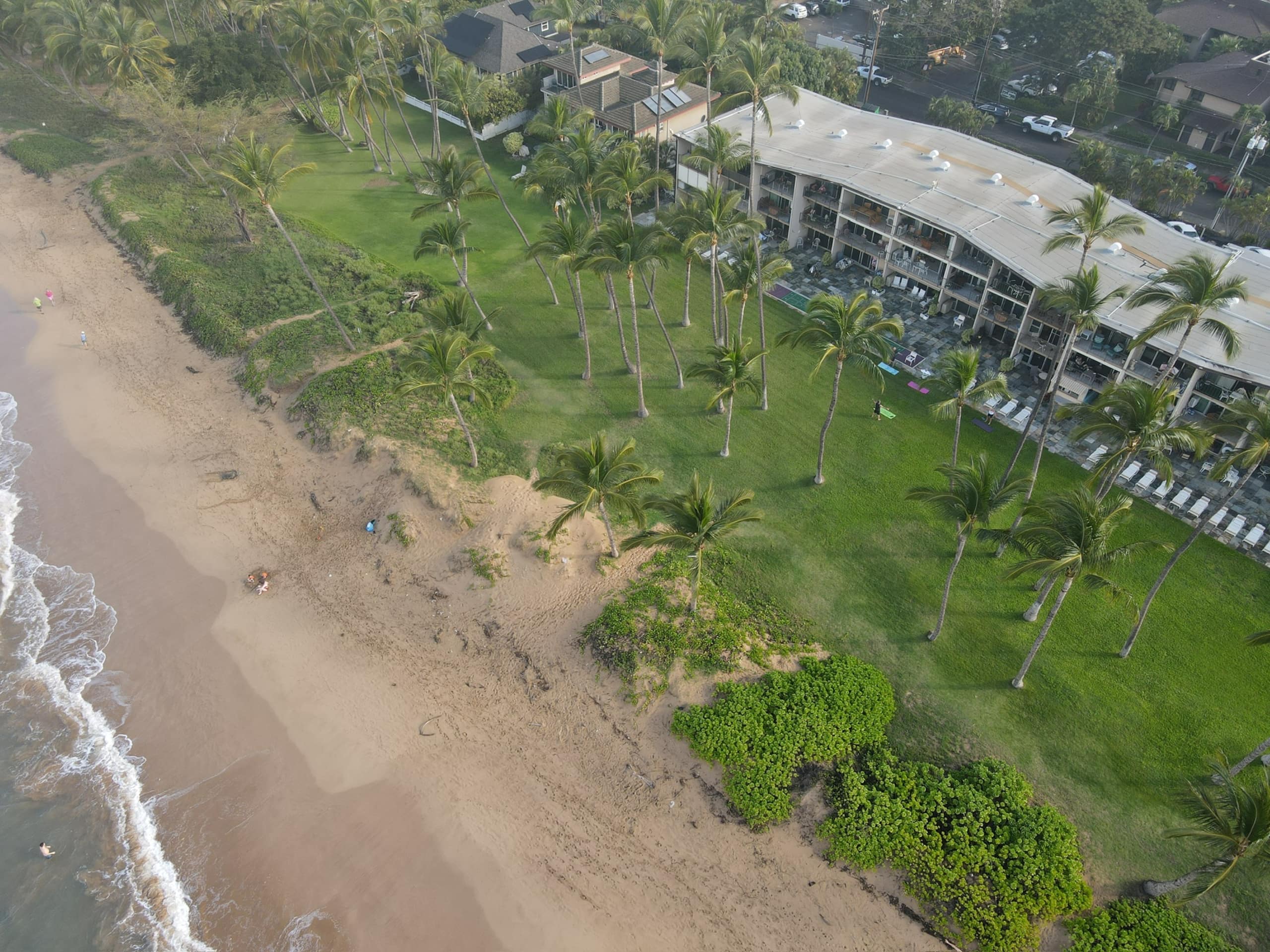 Condo in Kihei · ★4.95 · 1 bedroom · 3 beds · 1 bath - Image 30