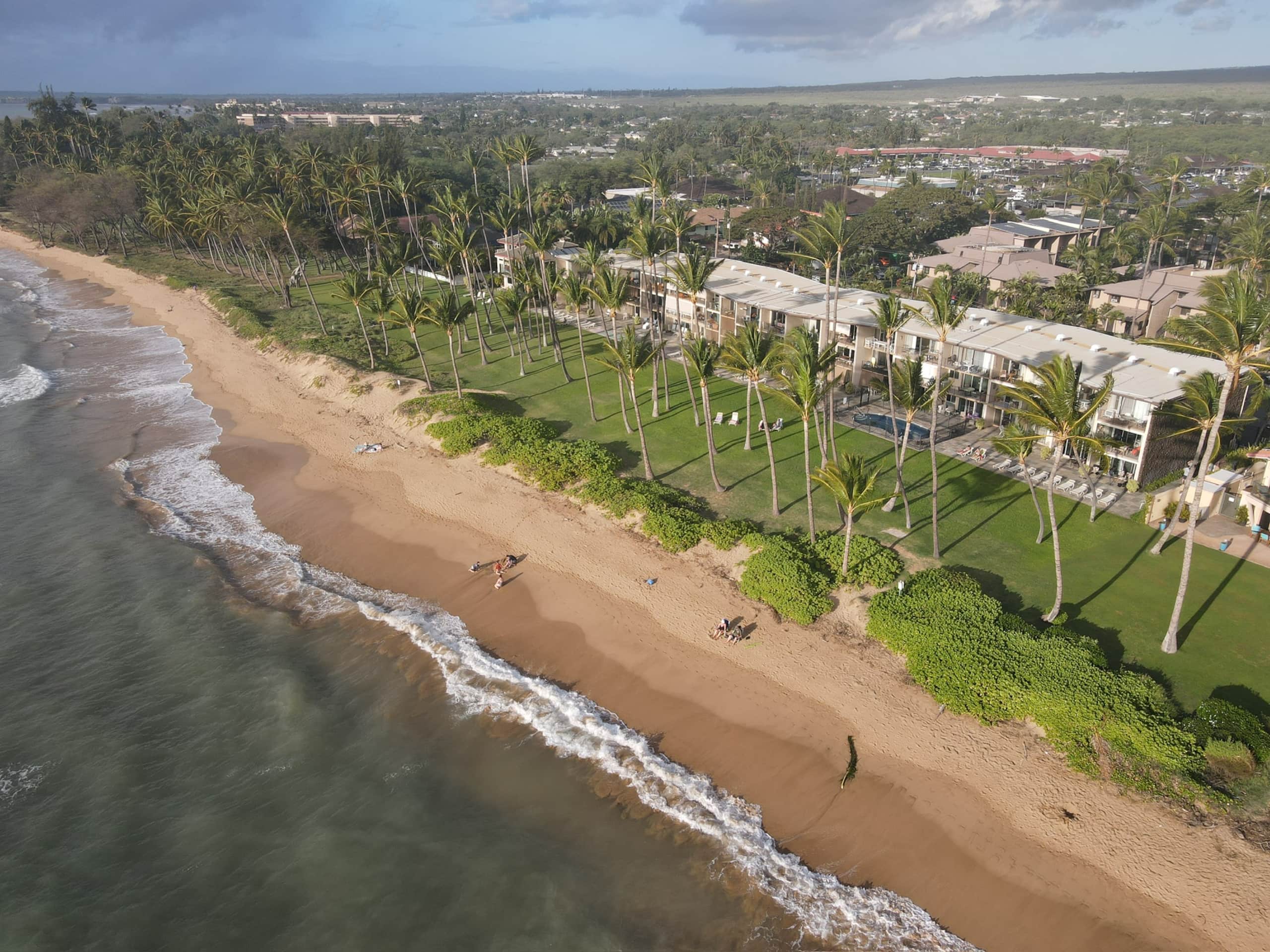 Condo in Kihei · ★4.95 · 1 bedroom · 3 beds · 1 bath - Image 31