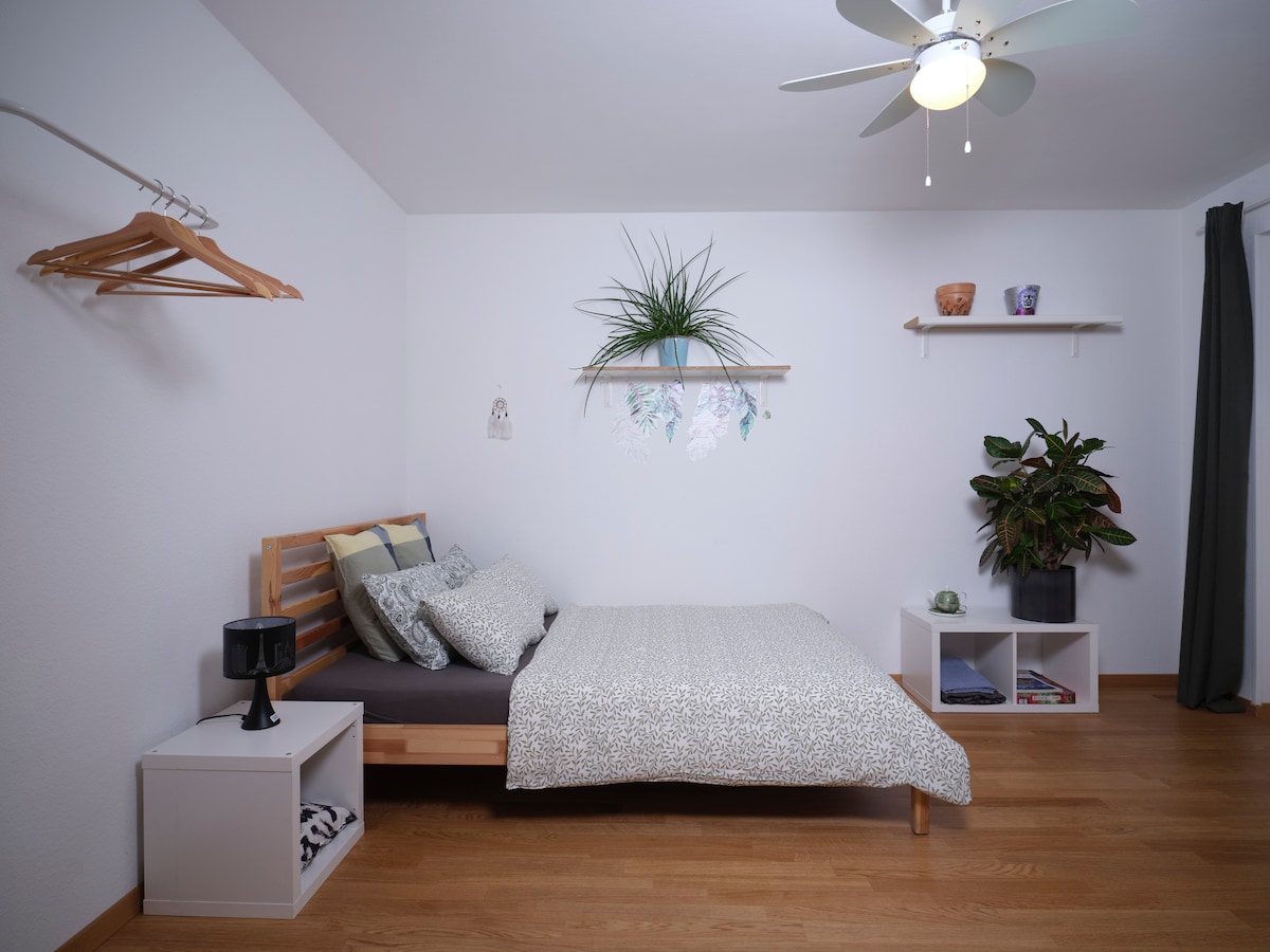 A spacious sleeping area is highlighted by a comfortable bed adorned with patterned bedding. Shelves above display decorative plants and personal items. A small side table with a lamp sits next to the bed, while wooden flooring enhances the bright and simple design.