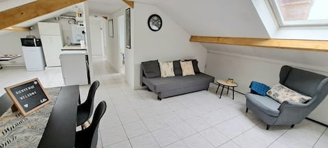 Apartment 15 min from Paris, 12 min from Orly