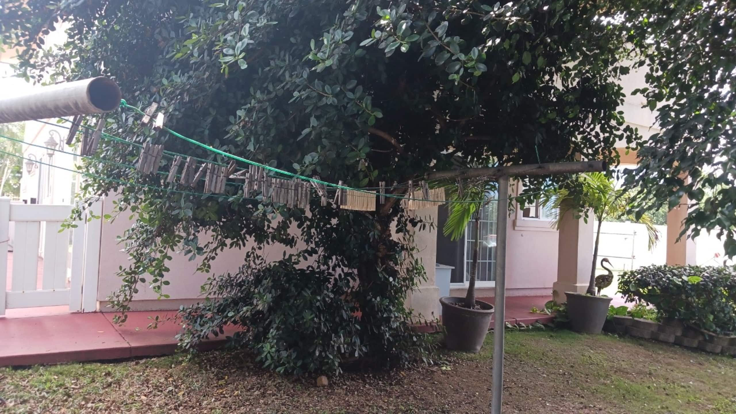Home in Wailuku · ★5.0 · 1 bedroom · 2 beds · 1 shared bath - Image 25
