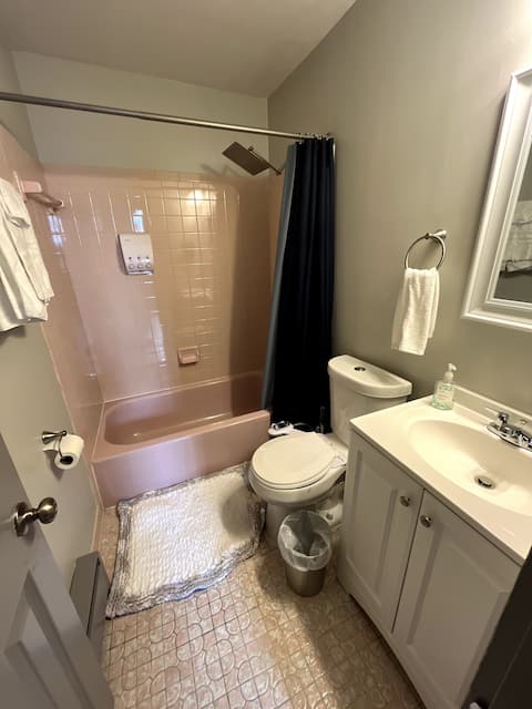 Massive 4BD/3BA 2-Fl Townhouse Apt Downtown Albany