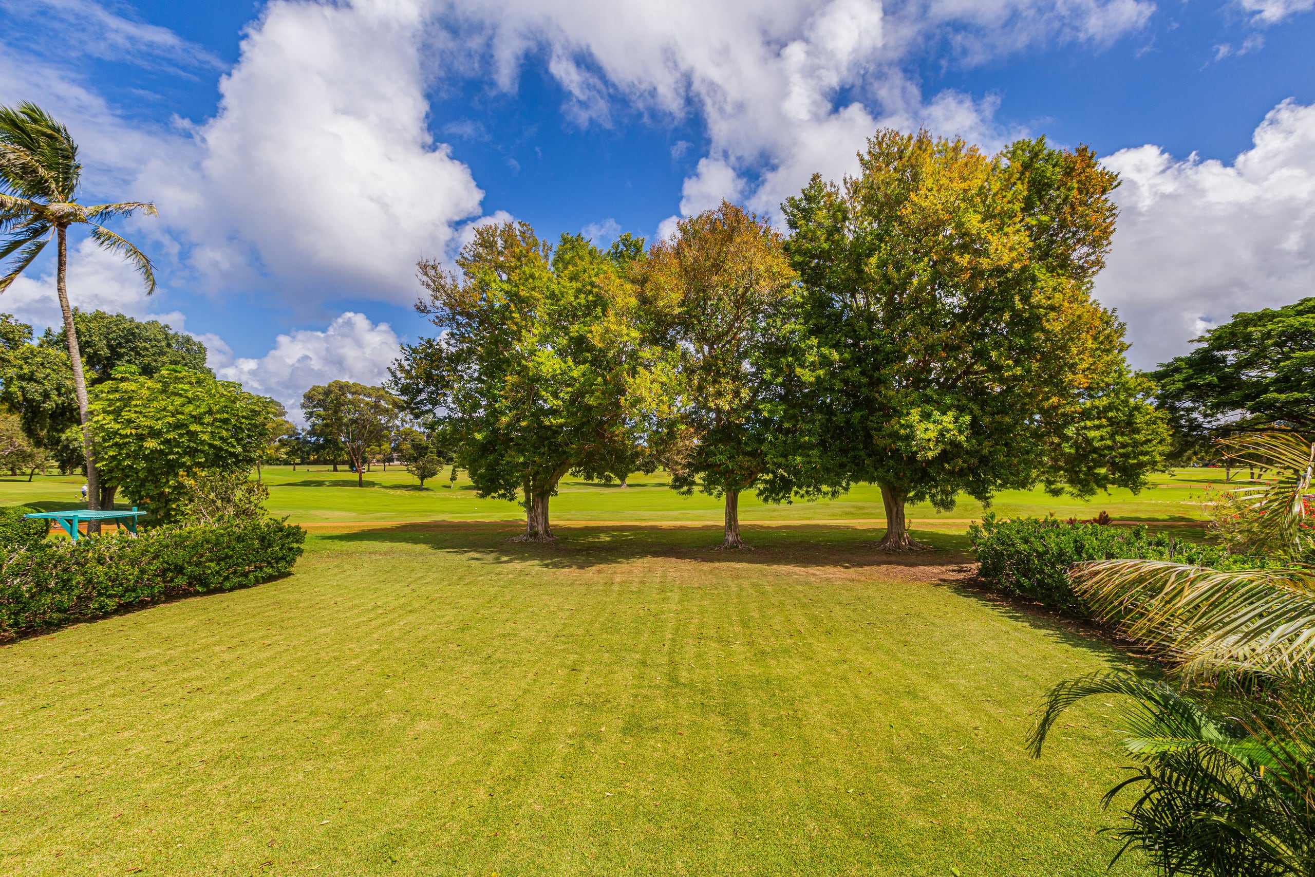 Home in Princeville · ★4.83 · 4 bedrooms · 5 beds · 2.5 baths - Image 28
