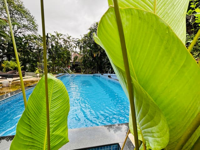 Ar Apartments & Villas managed Airbnb listing 1