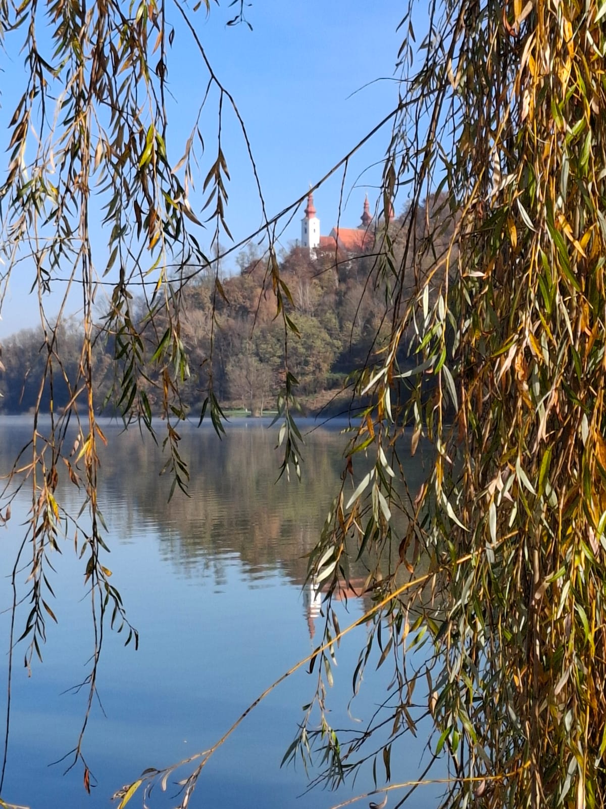 A serene view of a calm lake is framed by willow branches. Reflections of a distant hill and building are visible on the water's surface. The scene showcases a clear blue sky, enhancing the tranquil atmosphere of the natural setting.