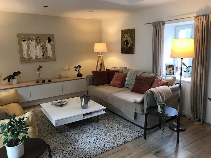 Chambre Cocoon Sdb Privée - Belleville, France
