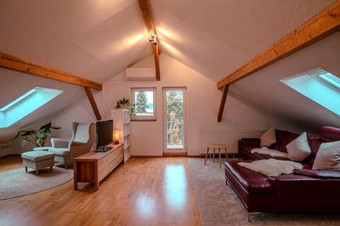 Charming Flat in Bonn