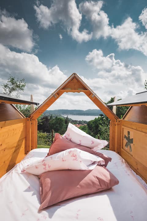 Starsbox 1000 stars and cuddles Nest among the olive trees