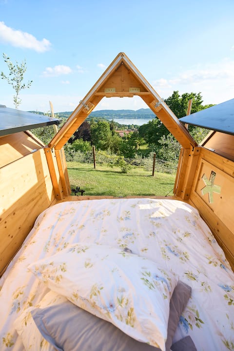 Starsbox 1000 stars and cuddles Nest among the olive trees