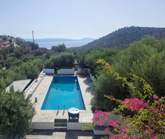 Olive Grove Serenity villa
