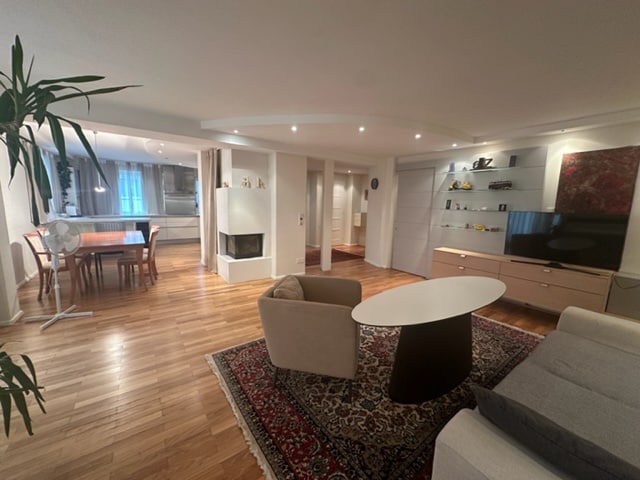 A spacious living area features wooden flooring and is divided into distinct zones. A dining table accommodates multiple guests, while a comfortable couch and an armchair are oriented towards a flat-screen TV. Soft lighting highlights the modern decor, including a decorative rug and plants.