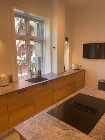 Amazing mansion in the heart of Frederiksberg gallery image 4