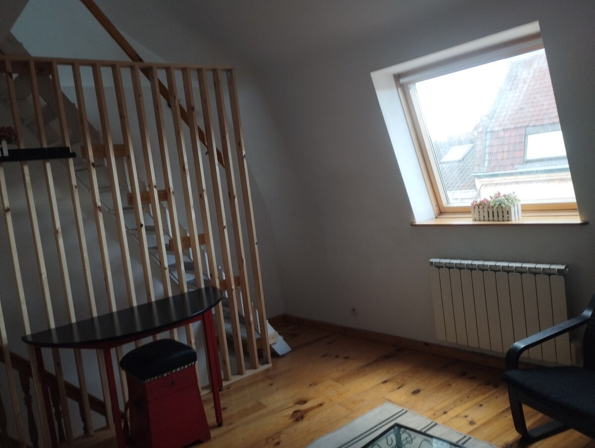 Annonce Airbnb populaire: House 5 bedrooms 2 living rooms city center near M° autorout à Croix