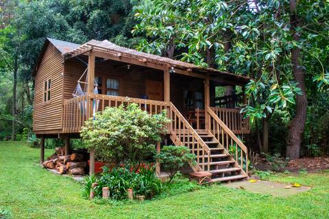 Lake view cabin