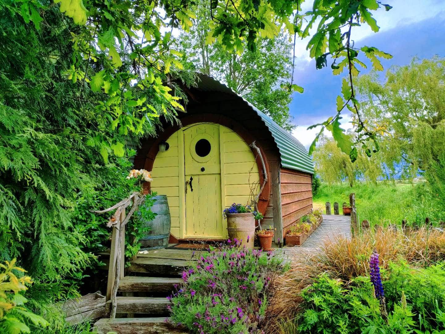 Springfield Cabin 1