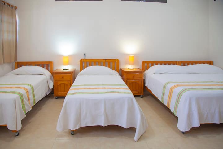 Chambre 3