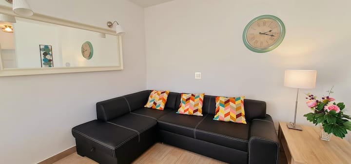 A living room with a double sofa bed.