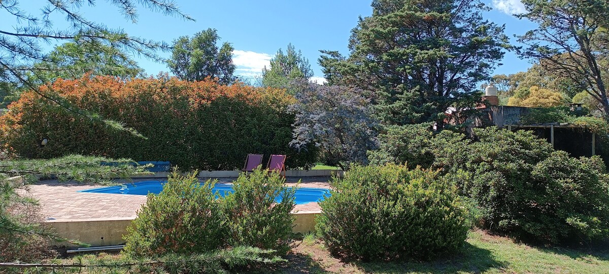 A shared swimming pool is surrounded by well-maintained greenery, with vibrant shrubs and trees providing shade and privacy. Two lounge chairs are positioned near the pool, inviting relaxation in a tranquil outdoor setting. Clear blue skies enhance the serene atmosphere.