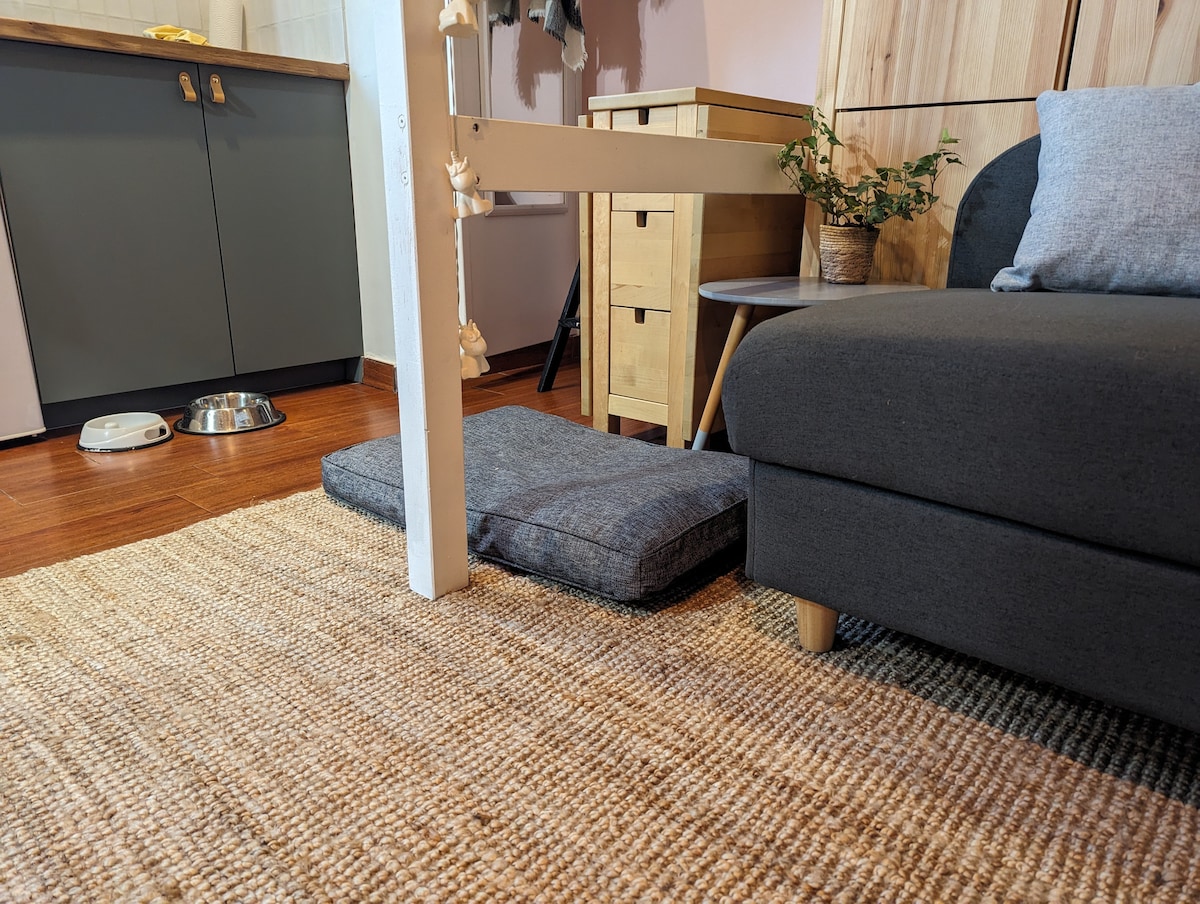 A cozy area within the studio features a textured rug and a dark grey sofa. A cushion is placed on the floor beside a small table, with a potted plant on it. A kitchen area is partially visible in the background, highlighting storage and functional space.
