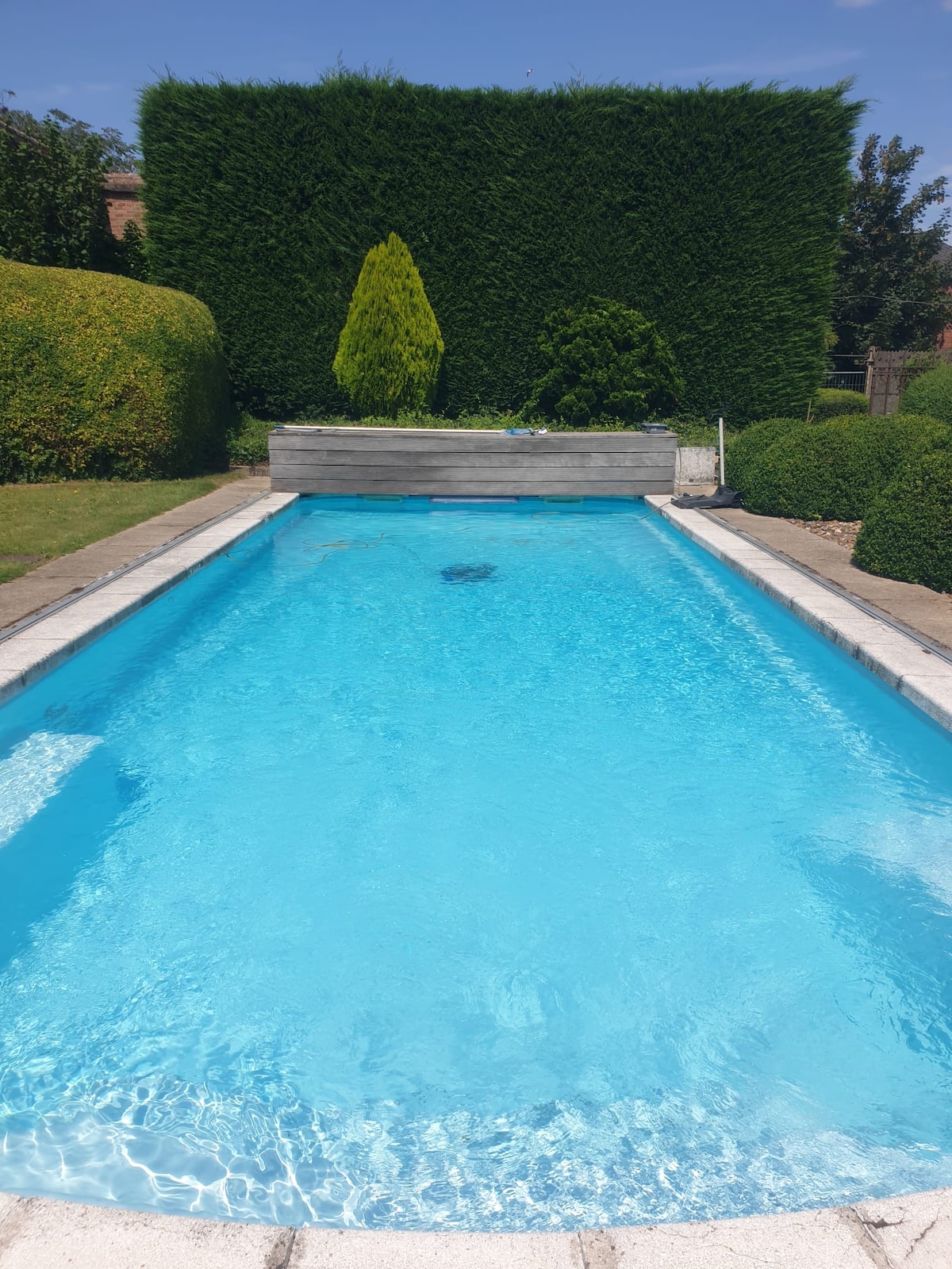 A clear blue swimming pool is framed by neatly trimmed hedges and lush greenery. The pool features a streamlined design with steps leading into the water, creating a tranquil outdoor setting for relaxation.