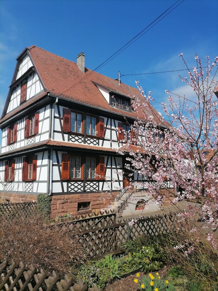 Meublé de Mme Schalck