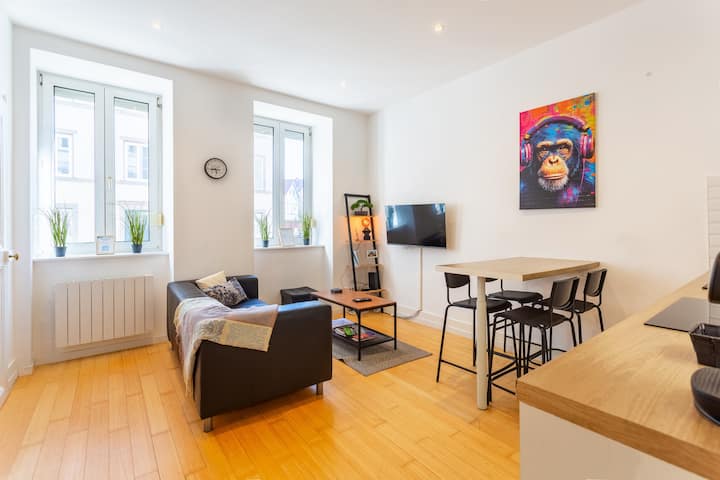 L'élégant  - Joli Appartement Musée D'art Moderne - Straatsburg