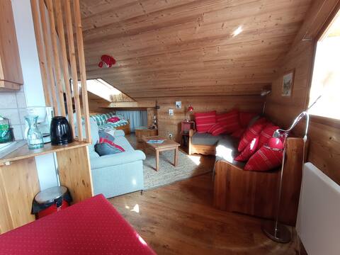 Top performing Airbnb: duplex at the foot of the slopes 6 pers 50 m²-saisies-contamines in Hauteluce