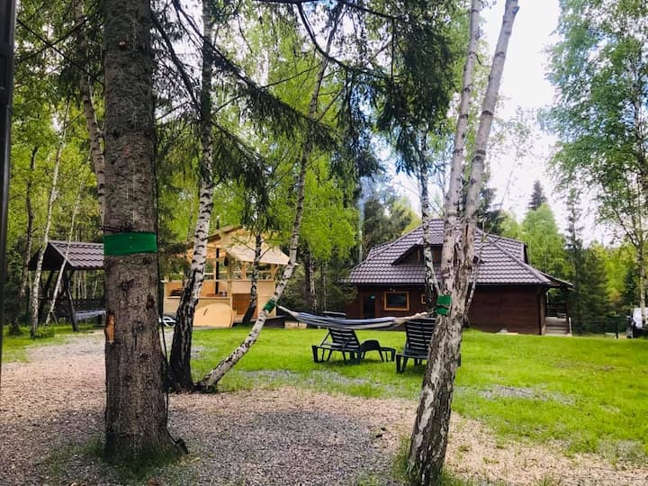 Cabana Din Pădure șI Căsuțele Din Copac - Belis - Beliș