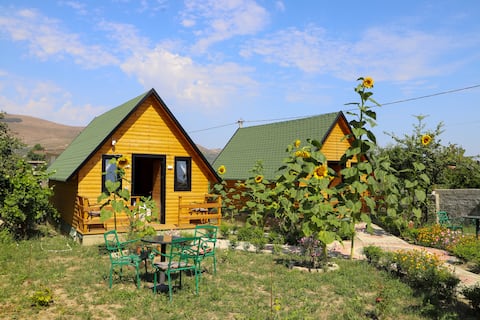 Wood House Berat 1