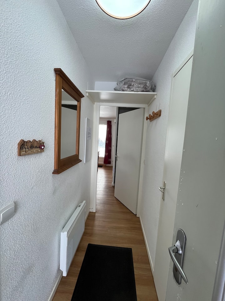 Appartement 4/6 Personnes Au Rdc - Mont-Dore