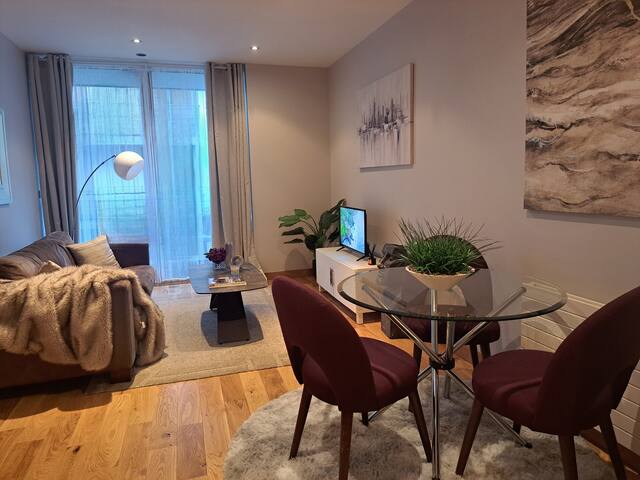 Modern Apartment Dublin City Centre gallery image 5