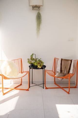 Renovated 1800s townhouse in trendy neighbourhood gallery image 2