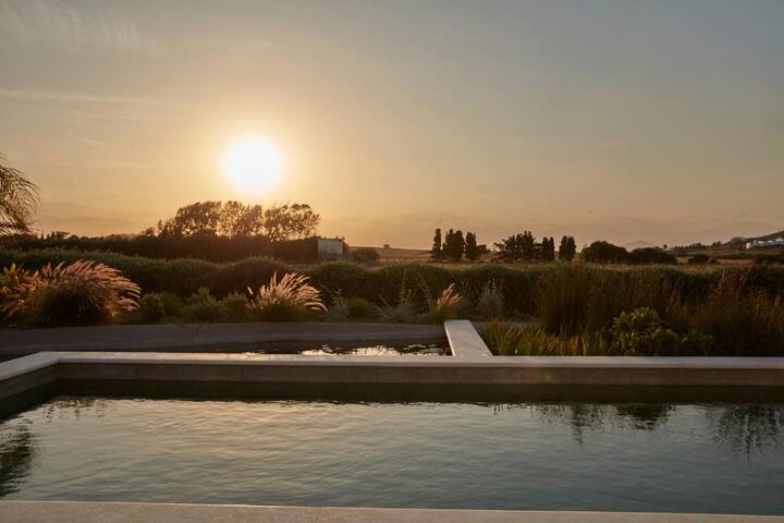 Villa Klar, on the Outskirts of Naousa gallery image 3