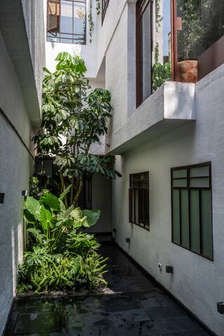 Beautiful garden house in the best part of Condesa gallery image 3