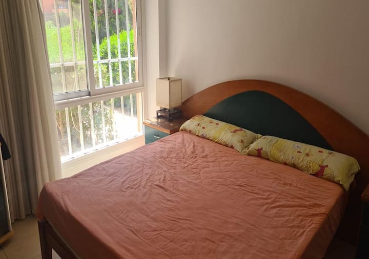 Habitación 1