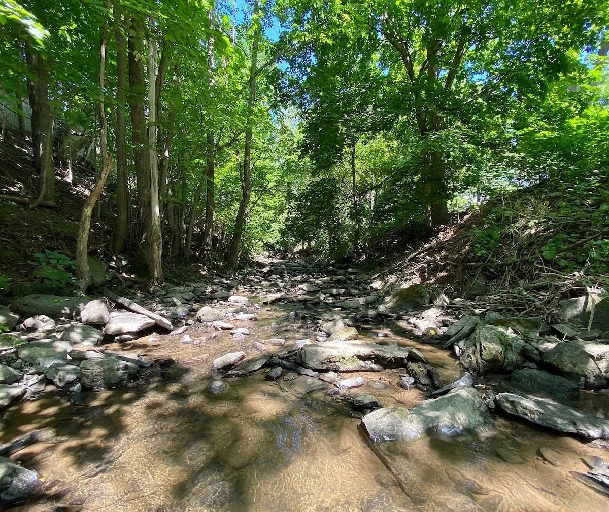 A serene stream meanders through a wooded area, flanked by lush green trees that filter sunlight. Smooth stones and pebbles line the shallow water, reflecting the natural light. The surrounding foliage creates a peaceful, secluded atmosphere.