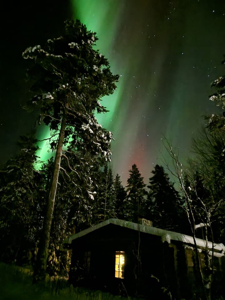 Northern Lights Cabin - Lapland