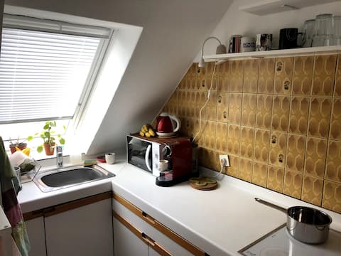 Airbnb performant: Romantic little flat with balcony à Bourse Esplanade Krutenau