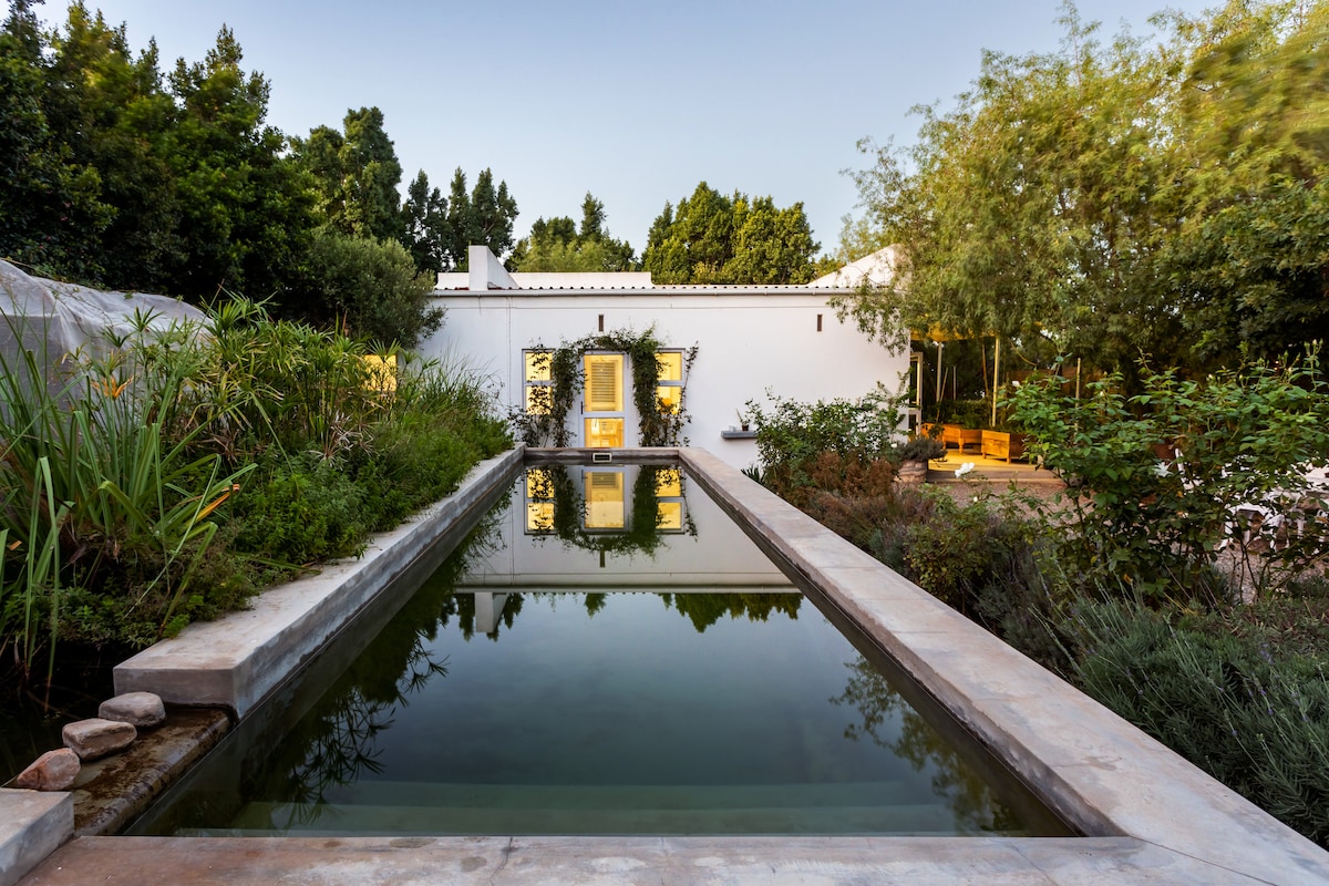 An eco pool reflects the surrounding greenery, framed by a stone pathway. Lush plants and trees create a serene environment, with a simple decorative feature at one end, enhancing the tranquil ambiance of the space.
